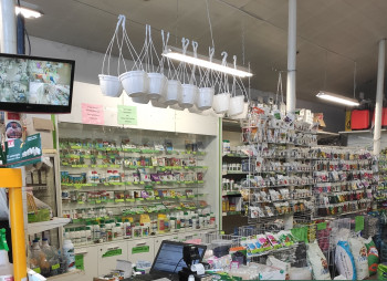 SEZON - семена, саженцы, средства защиты растений в Одессе